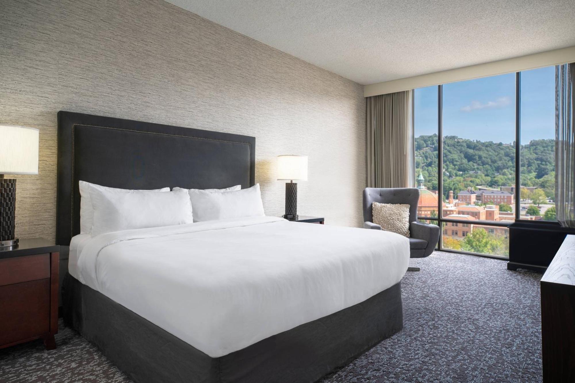 Renaissance Downtown 3*
